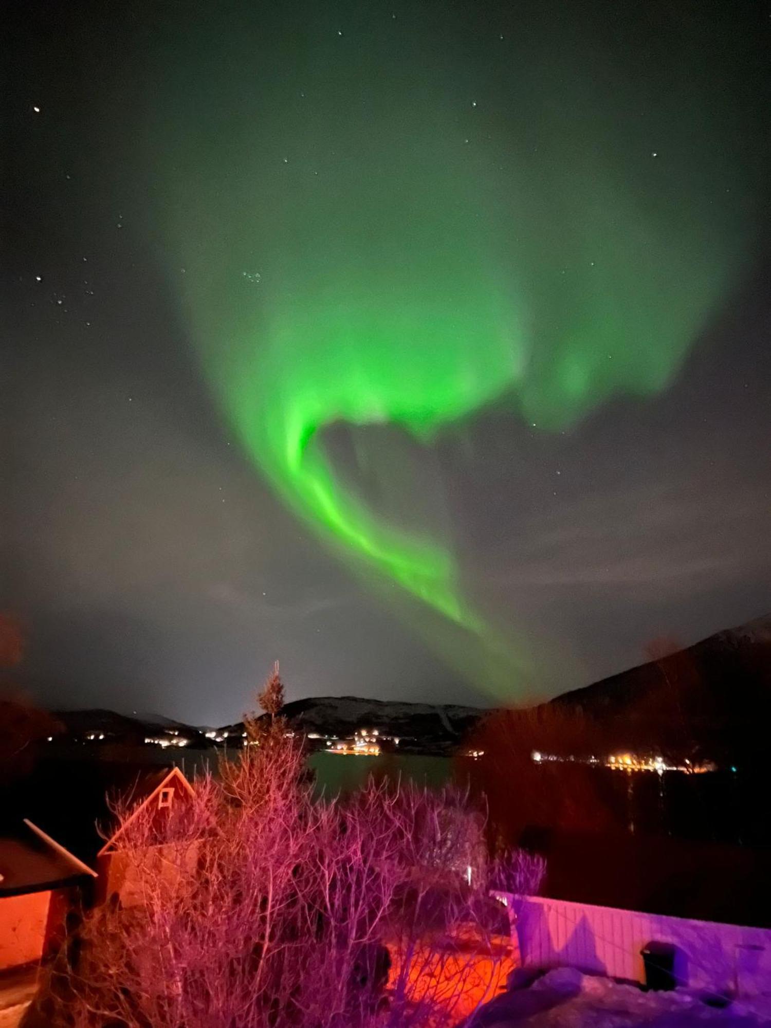 Evenes Artic Glamping Hotel Evenesmarkja Bagian luar foto